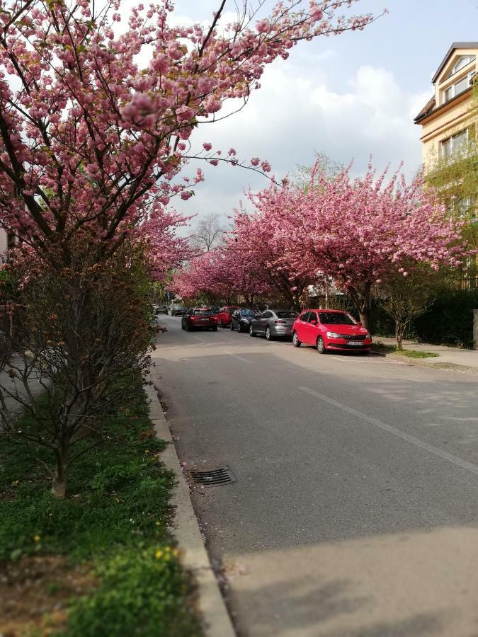 Irena'S Home Away From Home زغرب المظهر الخارجي الصورة